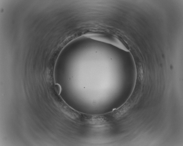 X0000078890270200611131237