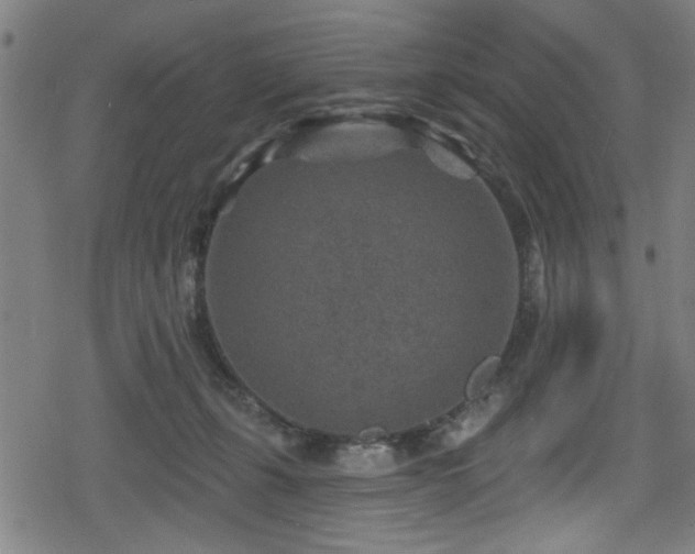 X0000078890271200611131237