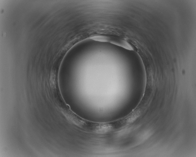 X0000078890274200611131237