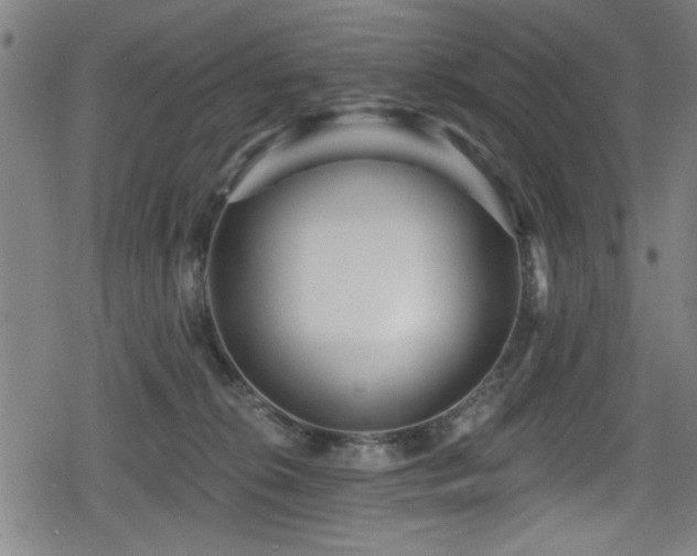 X0000078890276200611131237