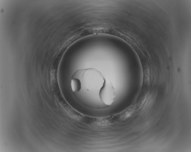 X0000078890278200611131237