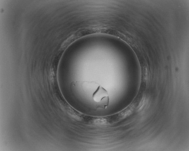 X0000078890279200611131237