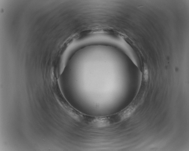 X0000078890280200611131237