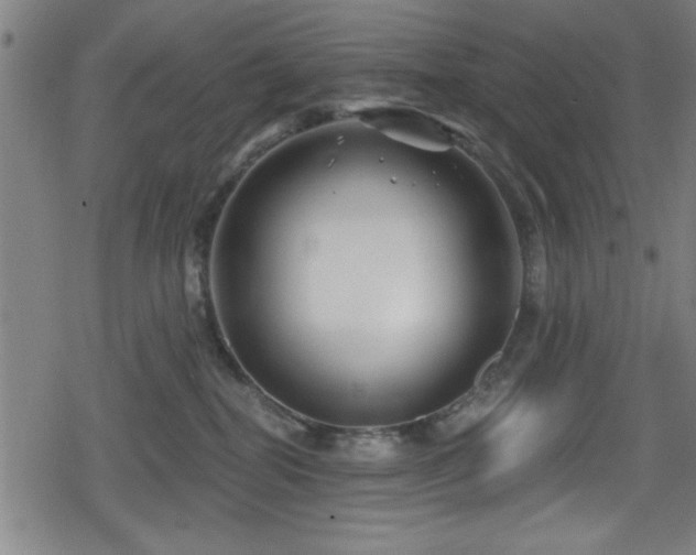 X0000078890282200611131237