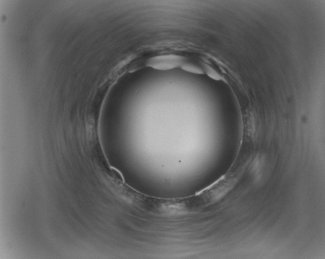 X0000078890283200611131237