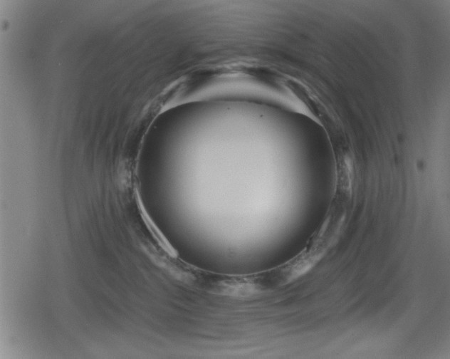 X0000078890284200611131237