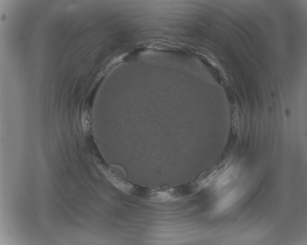 X0000078890285200611131237