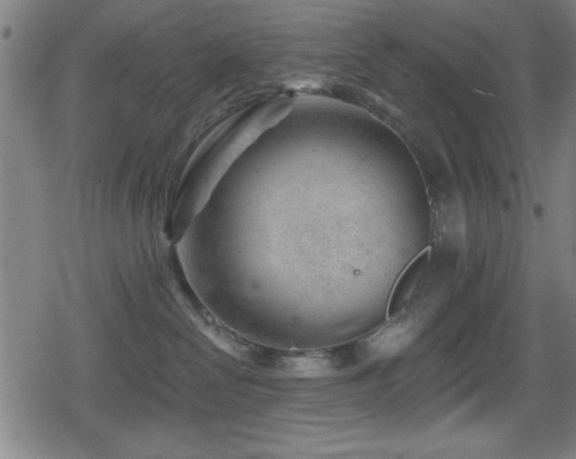 X0000078890286200611131237