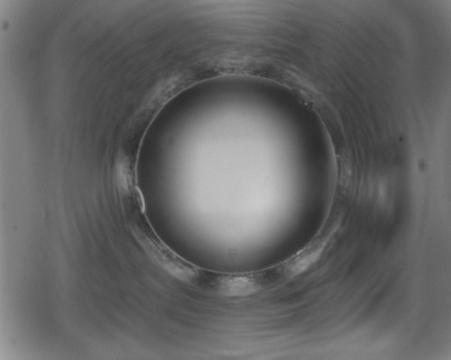 X0000078890287200611131237