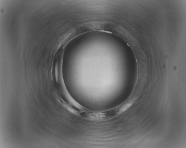 X0000078890288200611131238