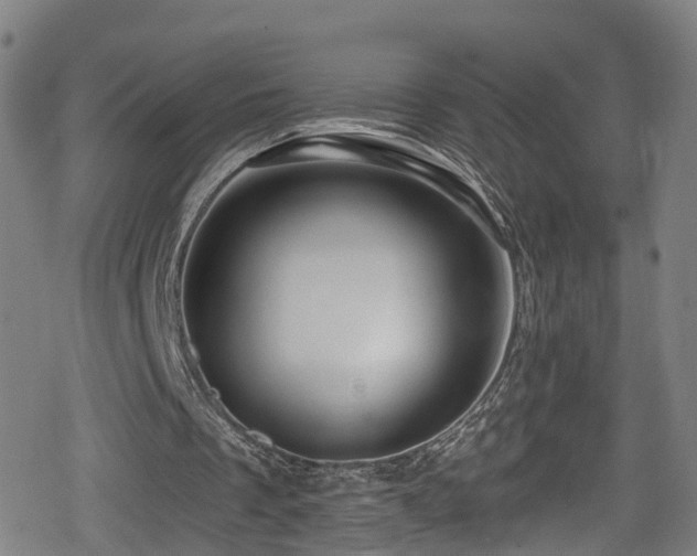 X0000078890289200611131237