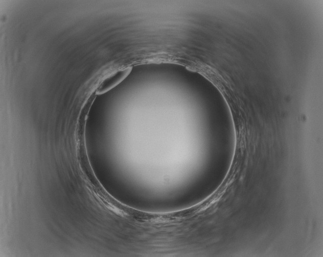 X0000078890290200611131237