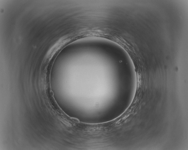 X0000078890291200611131237