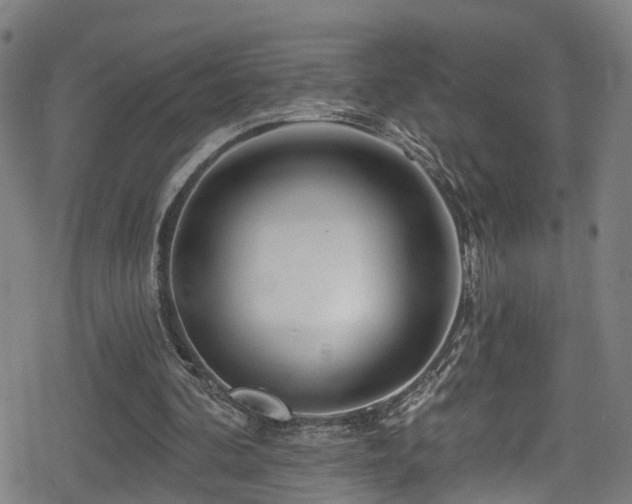 X0000078890292200611131237