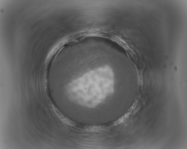 X0000078890293200611131237