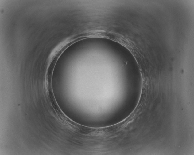 X0000078890294200611131237