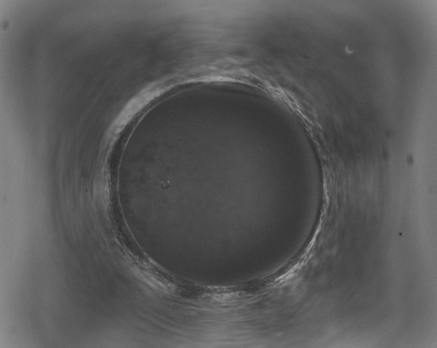 X0000078890295200611131237