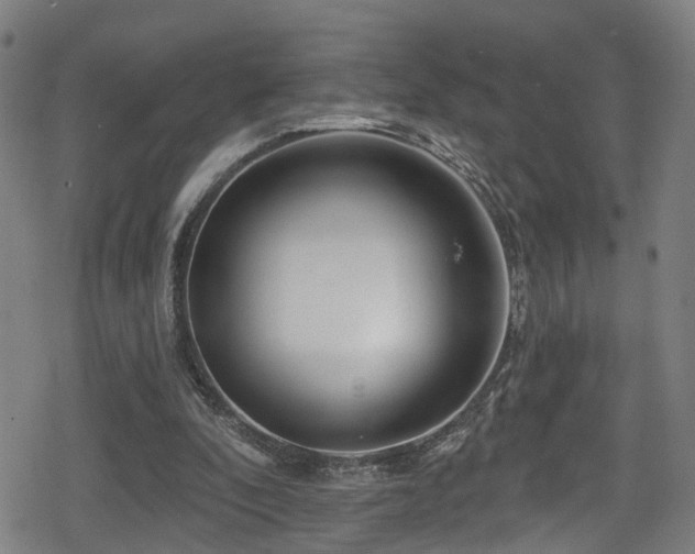 X0000078890296200611131237