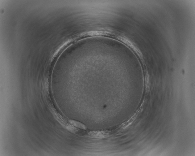 X0000078890297200611131237