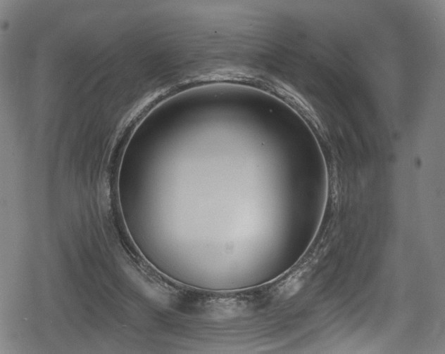 X0000078890298200611131237