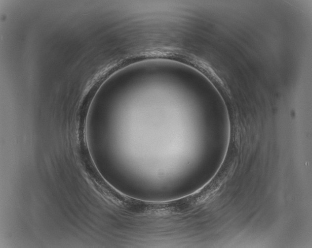 X0000078890299200611131237