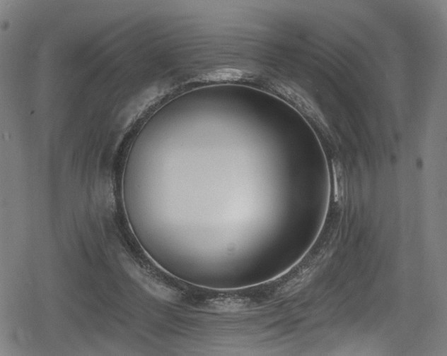 X0000078890300200611131237