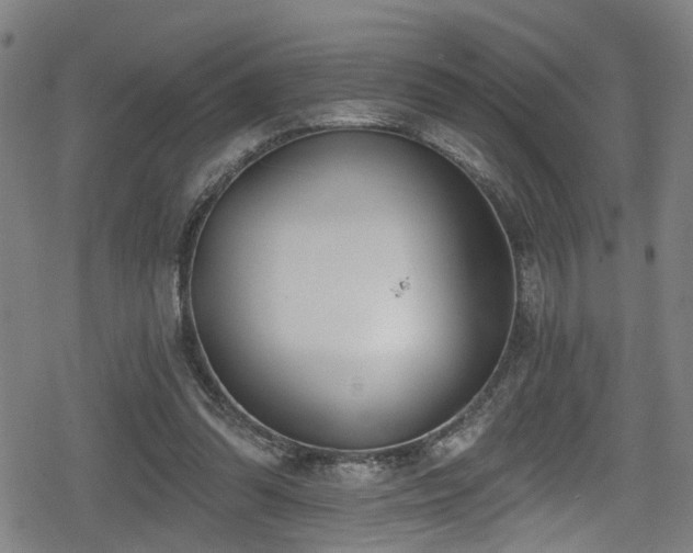 X0000078890302200611131237