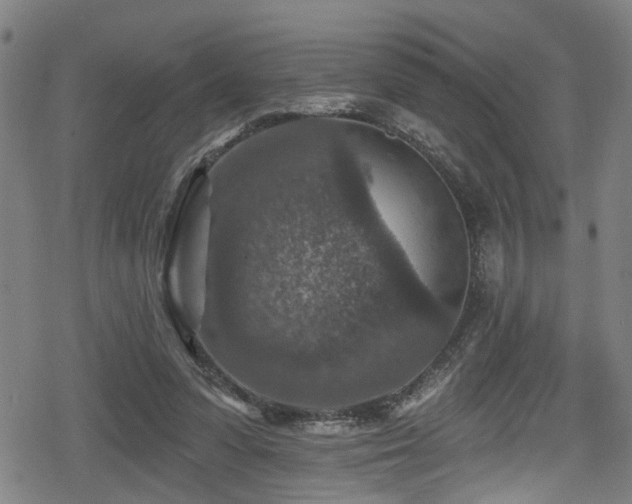 X0000078890303200611131236