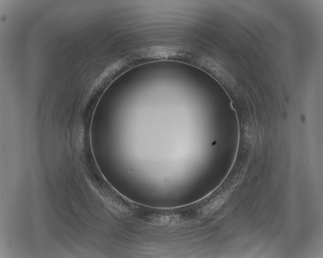 X0000078890304200611131236