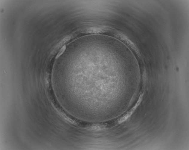 X0000078890305200611131236