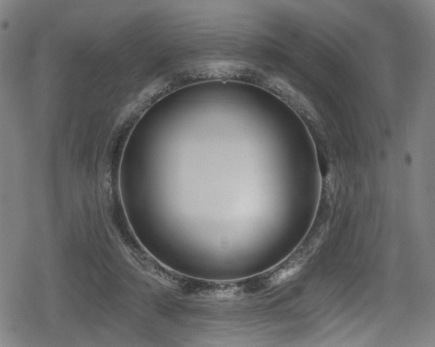 X0000078890306200611131236