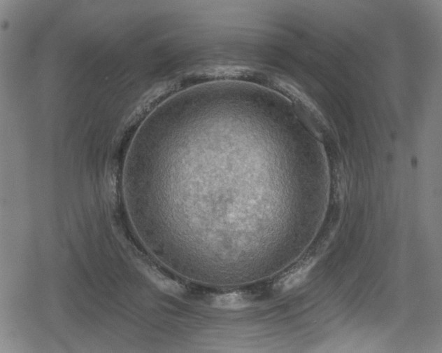 X0000078890309200611131236