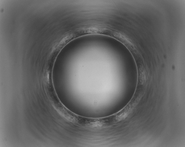 X0000078890310200611131236