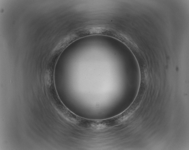 X0000078890311200611131236