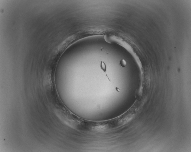 X0000078890312200611131236