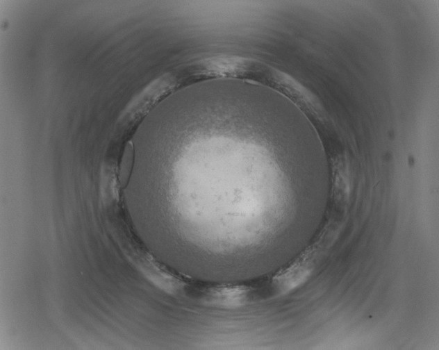 X0000078890313200611131236