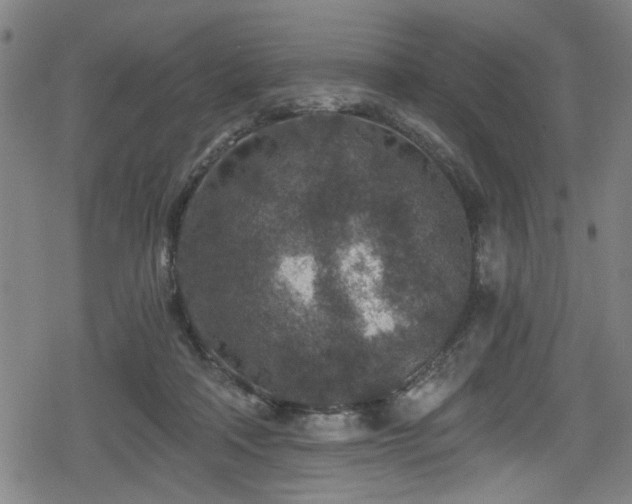 X0000078890314200611131236