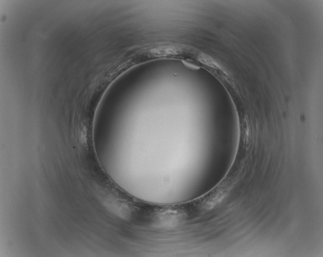 X0000078890315200611131236