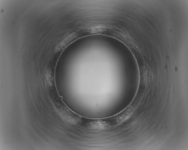 X0000078890316200611131236