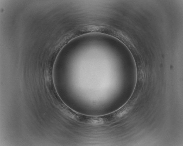 X0000078890317200611131236