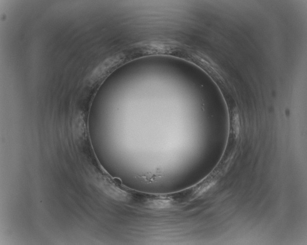 X0000078890318200611131236