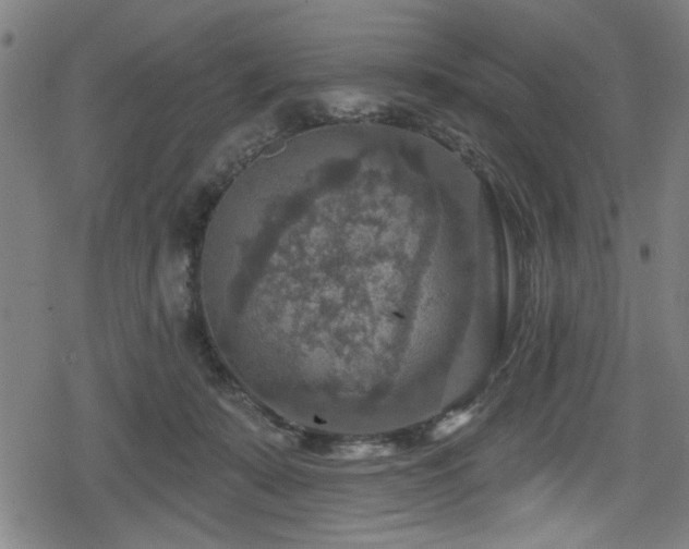 X0000078890319200611131236