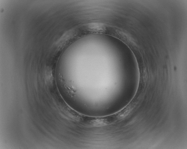 X0000078890320200611131236