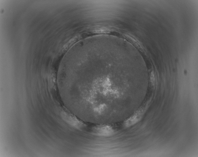 X0000078890322200611131236