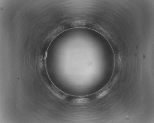 X0000078890323200611131236