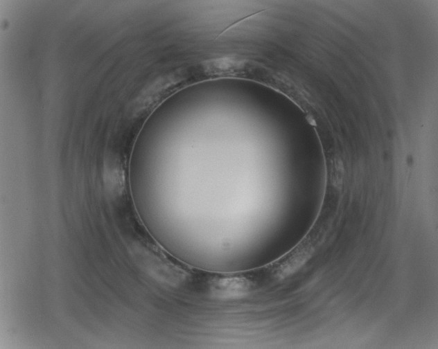 X0000078890324200611131236