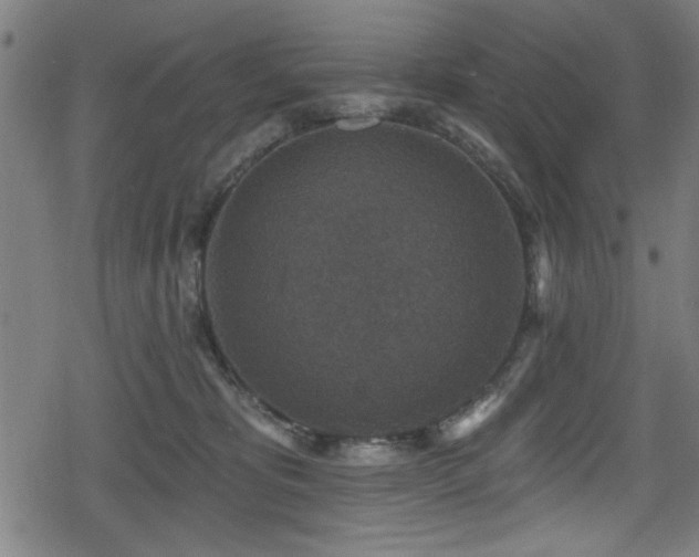 X0000078890325200611131236