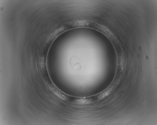 X0000078890326200611131236