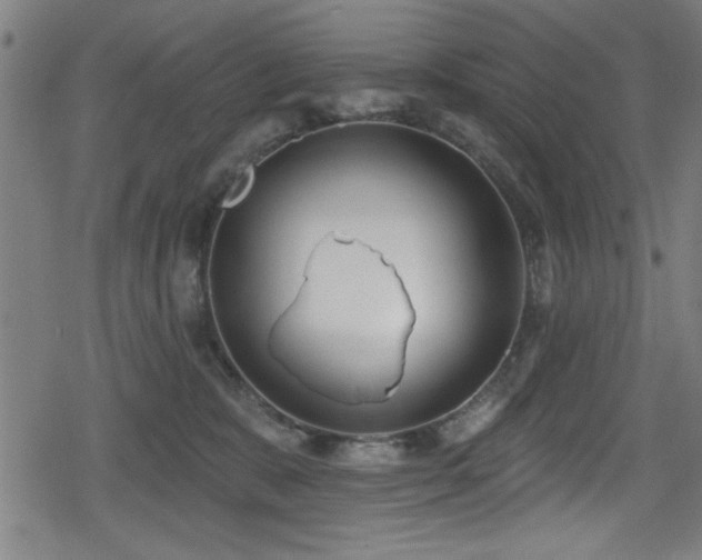 X0000078890327200611131236