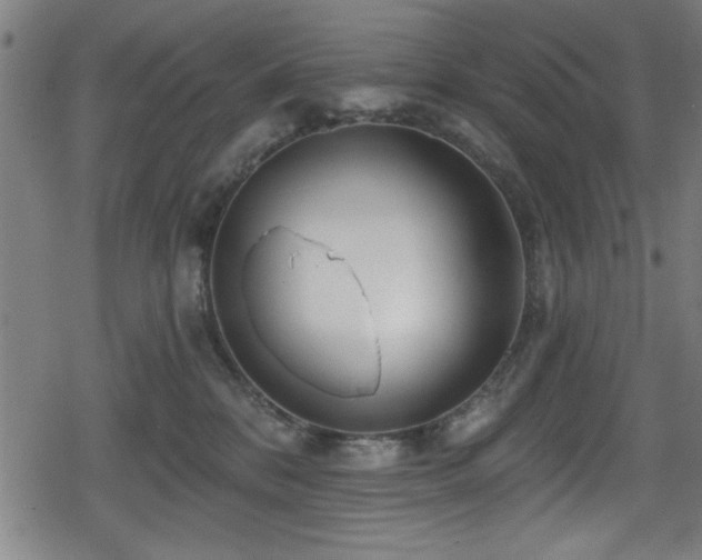 X0000078890328200611131236